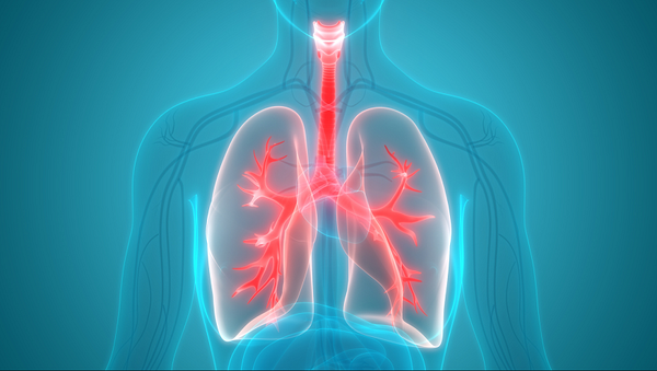Love Your Lungs: How To Make a Potent Mullein Infusion